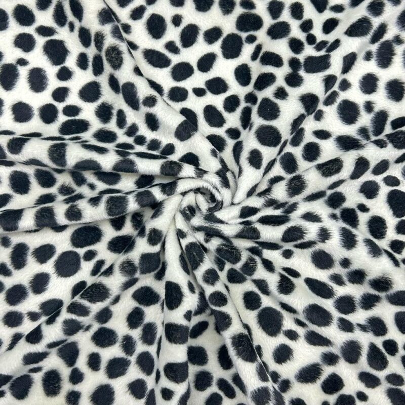 4D95F28E-4D31-40F0-8366-8075EFBF8C46_2048x